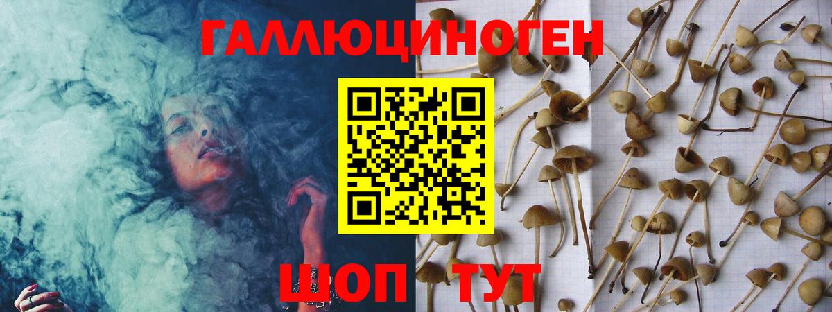 Псилоцибиновые грибы прущие грибы  Вход с VPN  Коломна  Псилоцибиновые грибы Psilocybine cubensis 