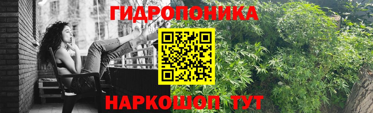 Каннабис OG Kush Коломна
